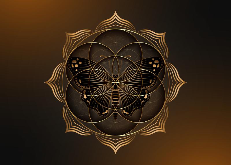 vecteezy_seed-flower-of-life-lotus-icon-and-black-magical-butterfly_6068292