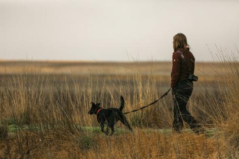 Stor sort hund og ejer på gåtur på marken