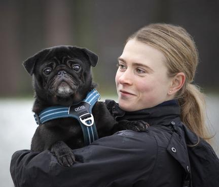 Hundetræner Emilie fra Hundesnude med sort mops