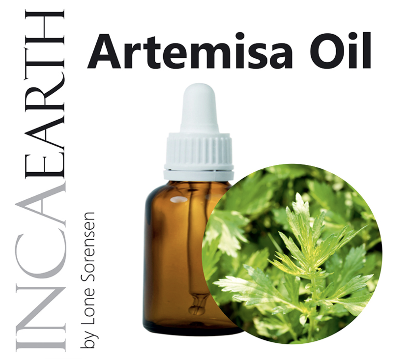 artimisia oil