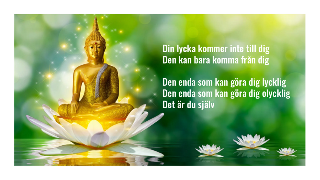 BUDDHISTISK MEDITATION 24 maj