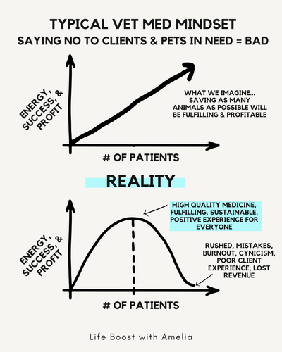 vet med mindset vs reality