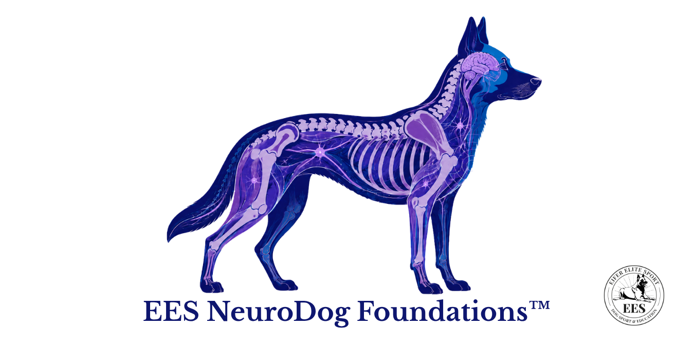 EES neurodog foundations™ (1)