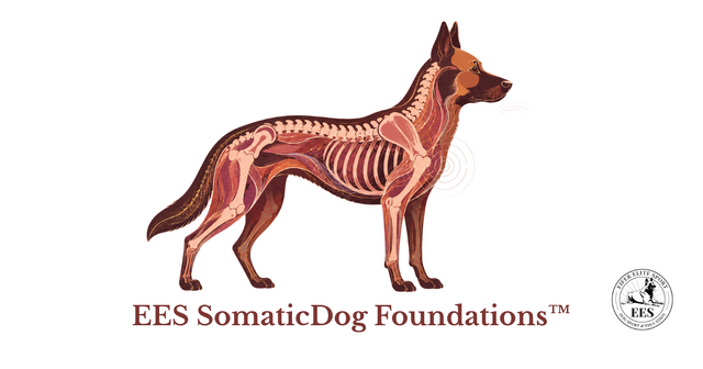 EES somaticDog foundations™