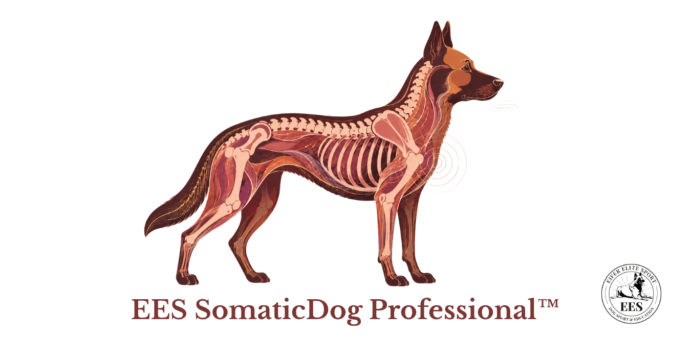EES somaticDog professional™