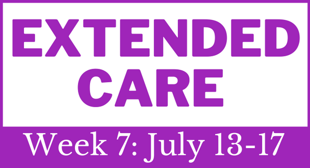 wk 7 extended