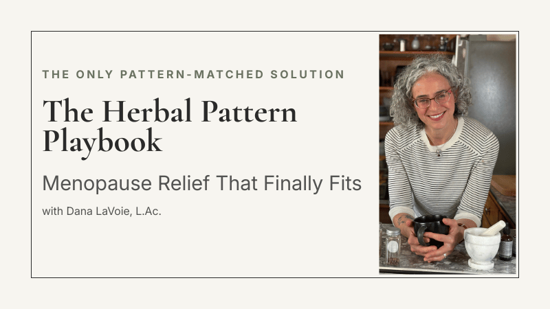 Herbal-Pattern-Playbook-Dana-LaVoie thumbnail