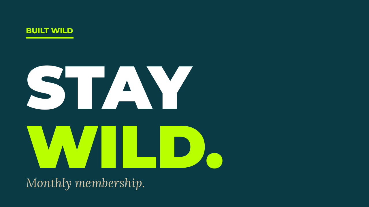 card_staywild