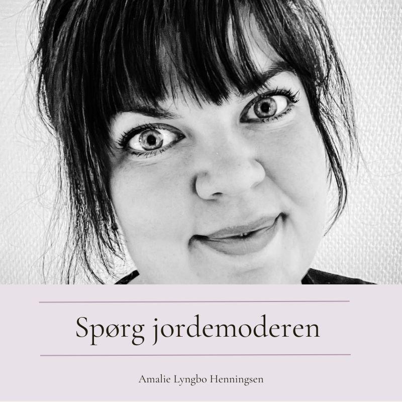 Amalies brevkasse nyhed V2