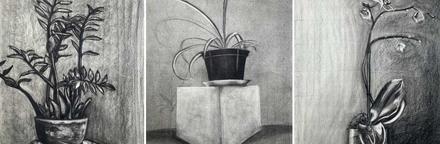 3 grid drawing