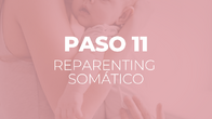 Paso 11 CÍRCULO