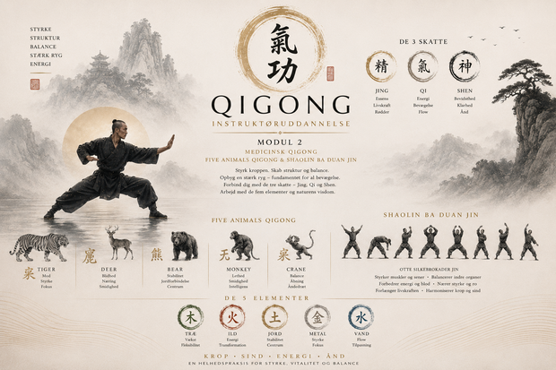 Qigong Modul 2 - Five Animals