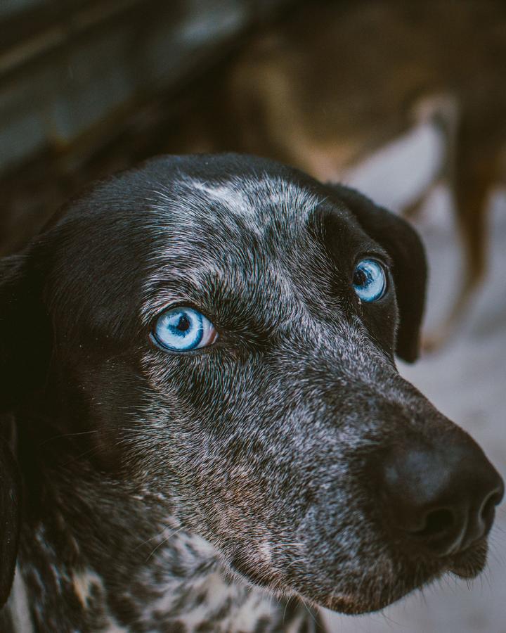 pexels-luca-severin-748412253-18643222