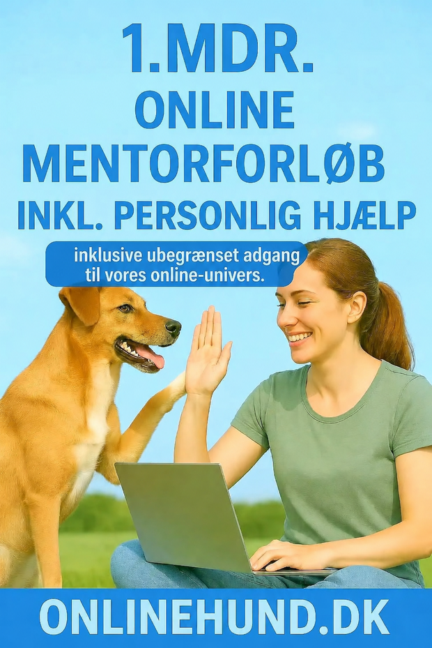 Mentorforløb onlinehund.dk