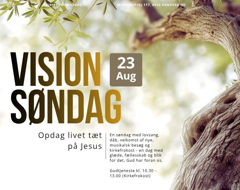 visions søndag