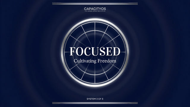 Focused (2)