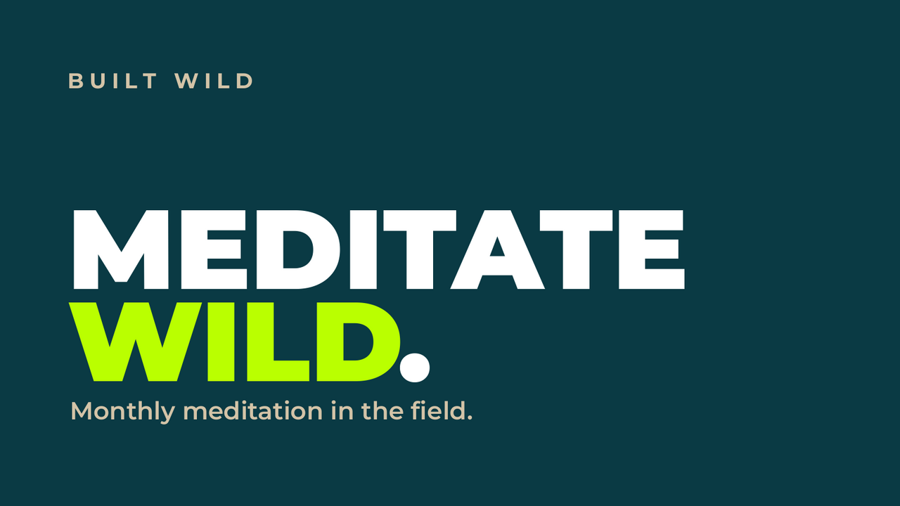 meditate_wild_card
