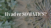 Somatics DE - STRESS (2)