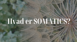 Somatics DE - STRESS (2)