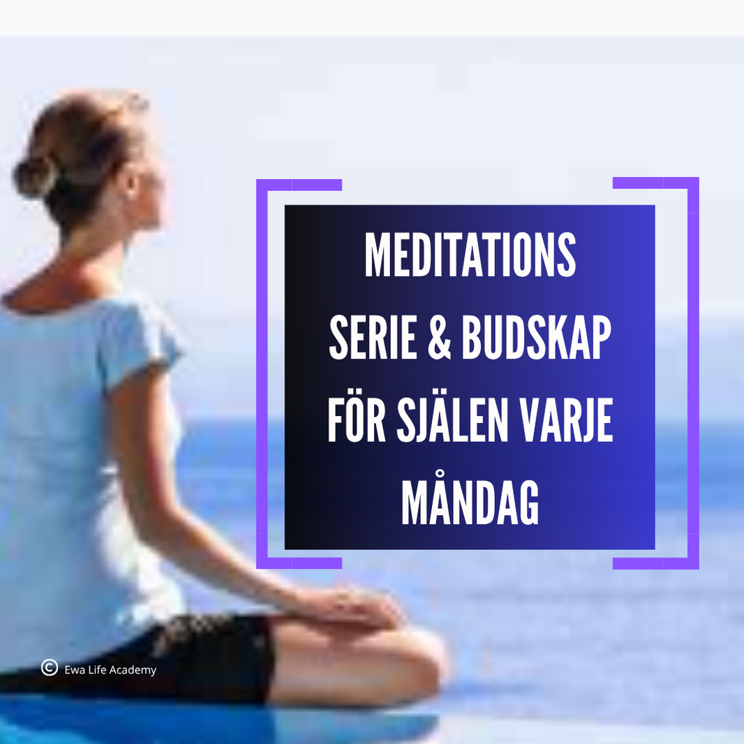 lÄR DIG MEDITERA (42)