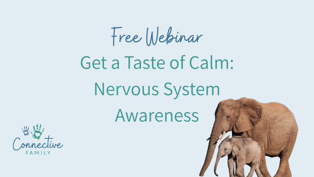simplero free webinar (2)