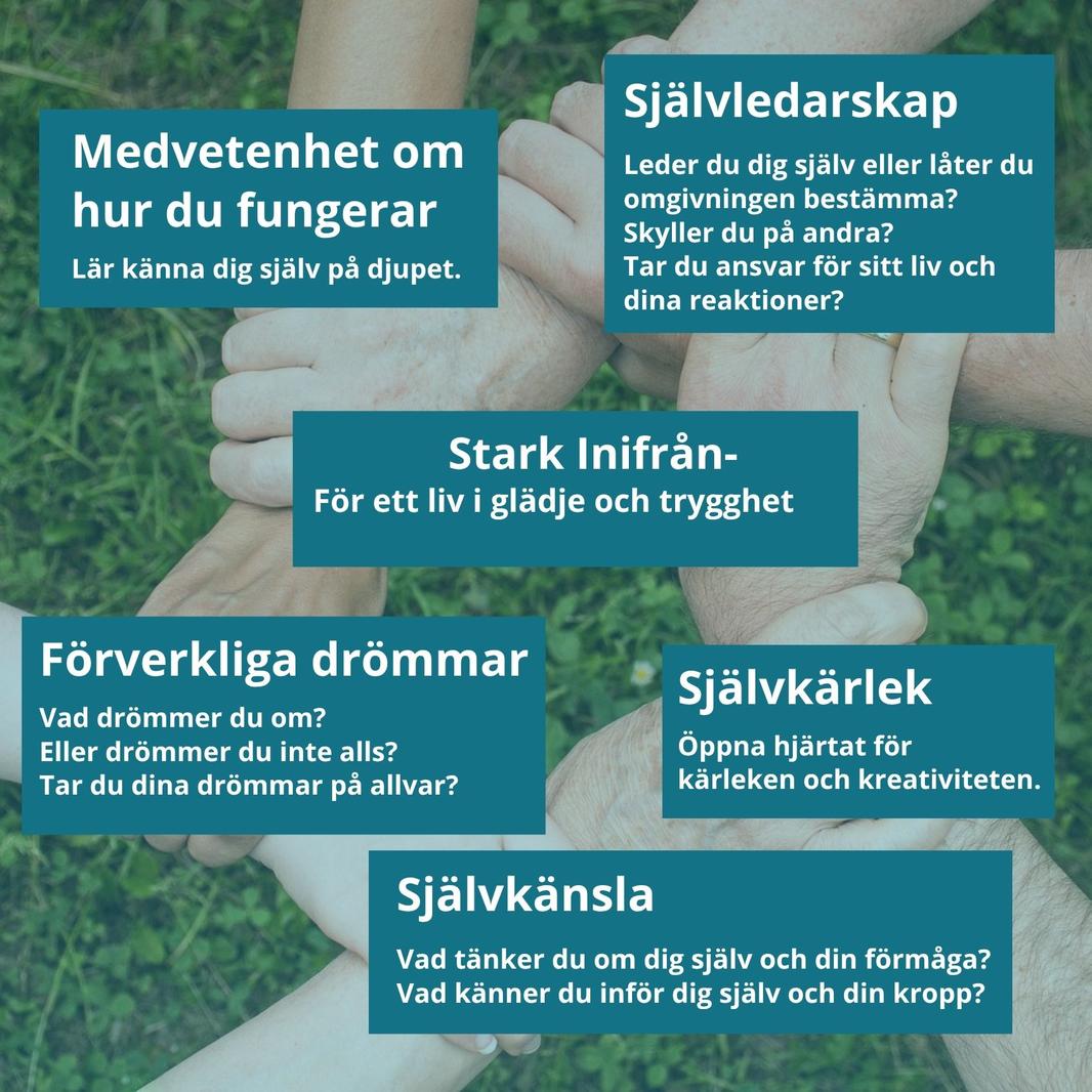 Kopia av Kopia av Kopia av Kopia av Kopia av Kopia av Kopia av Kopia av Annonser 1080x1080 (Facebook-inlägg)