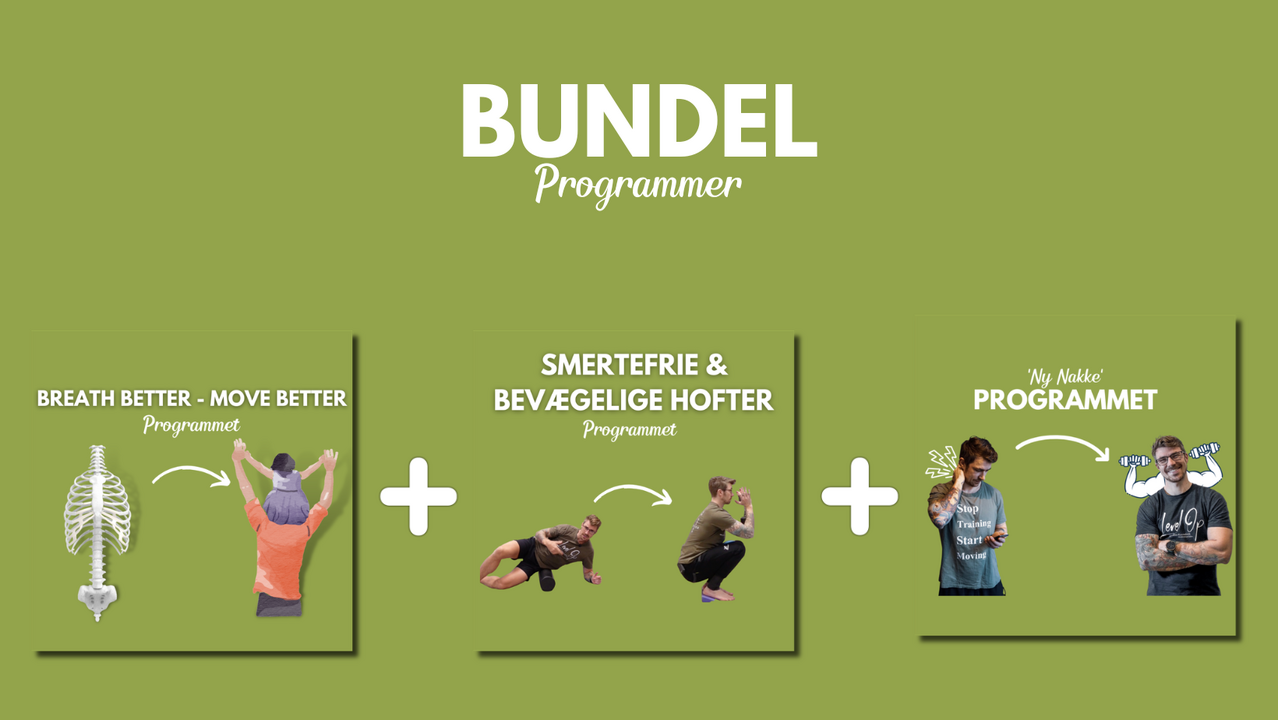 bundel