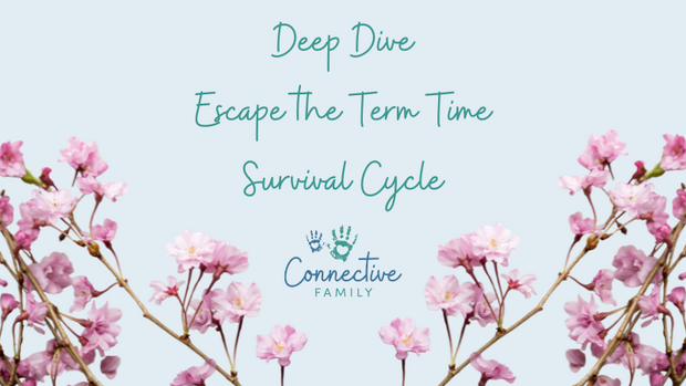 Simplero - Deep Dive