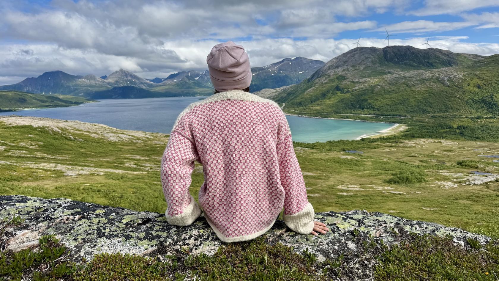 &Oslash;rnfl&oslash;ya2