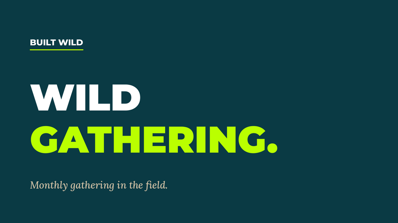 Wild_Gathering_Product_Card