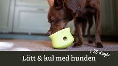 Lätt & kul kursbild