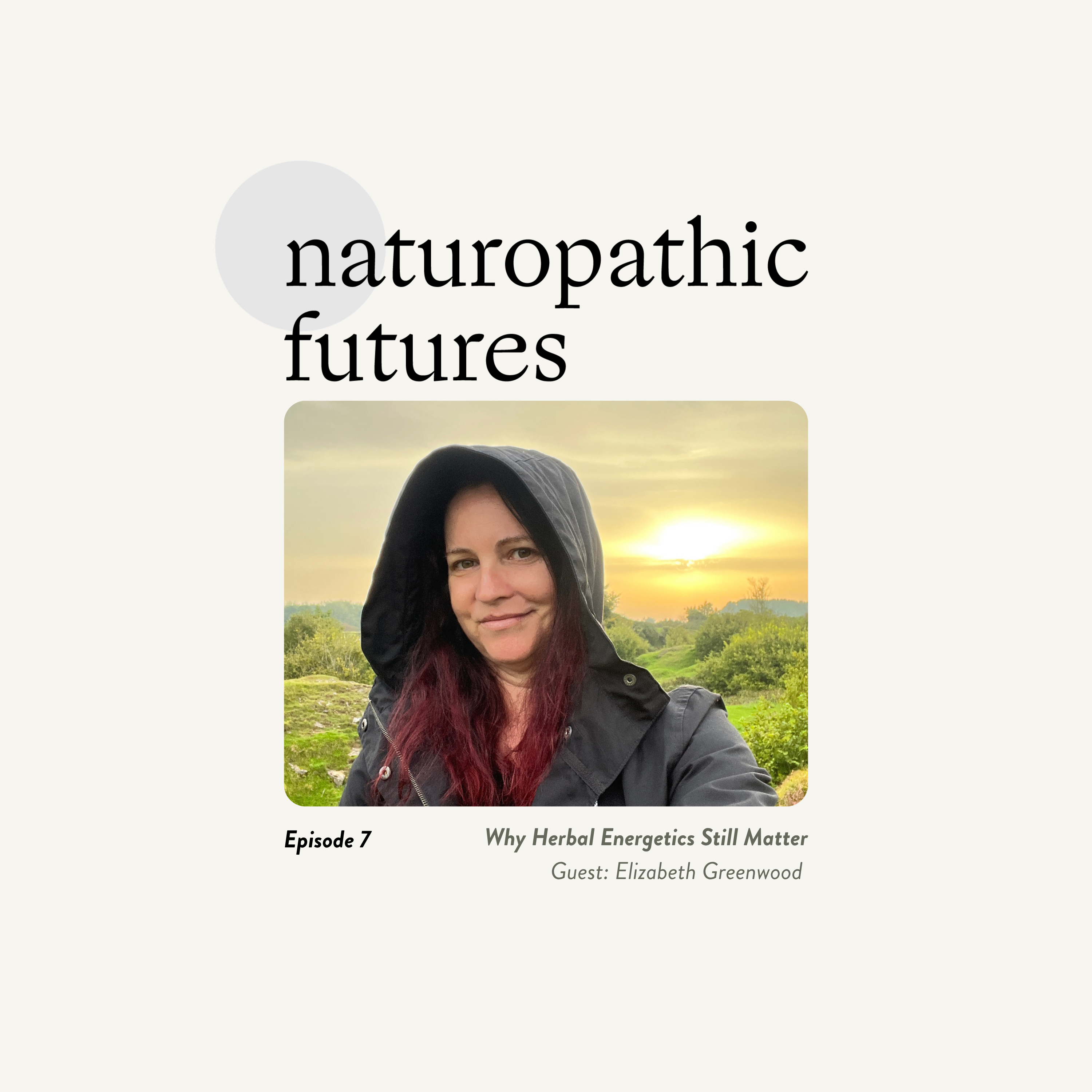 naturopathic futures podcast ep 7