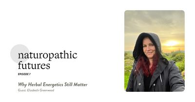 Naturopathic Futures Podcast ep7 wide image