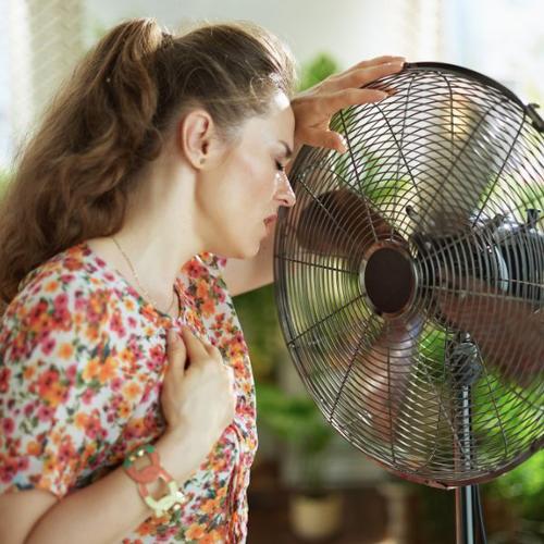 ventilator