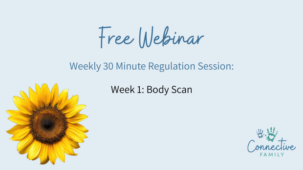 simplero free webinar (3)
