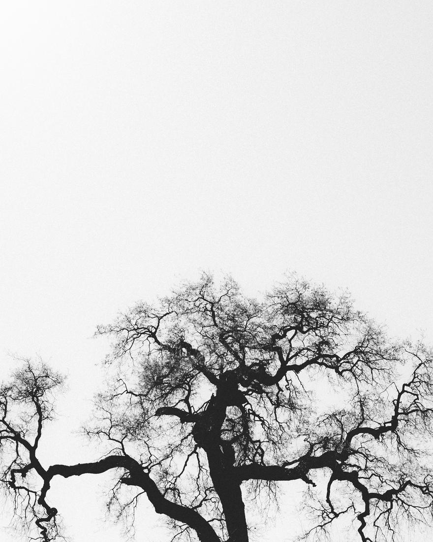 chris-leipelt-LHnJL3D50vc-unsplash