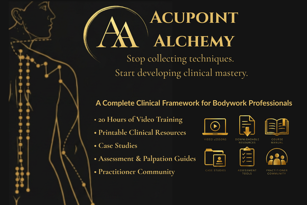 Acupoint Alchemy slide - course reveal (1200 x 800 px)