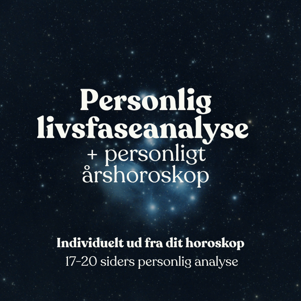 livsfaseanalyse final