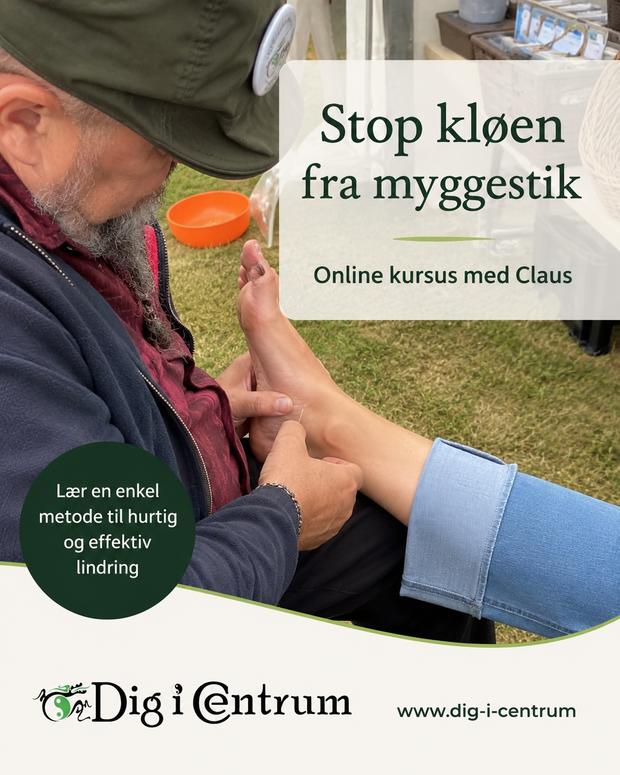 mygge