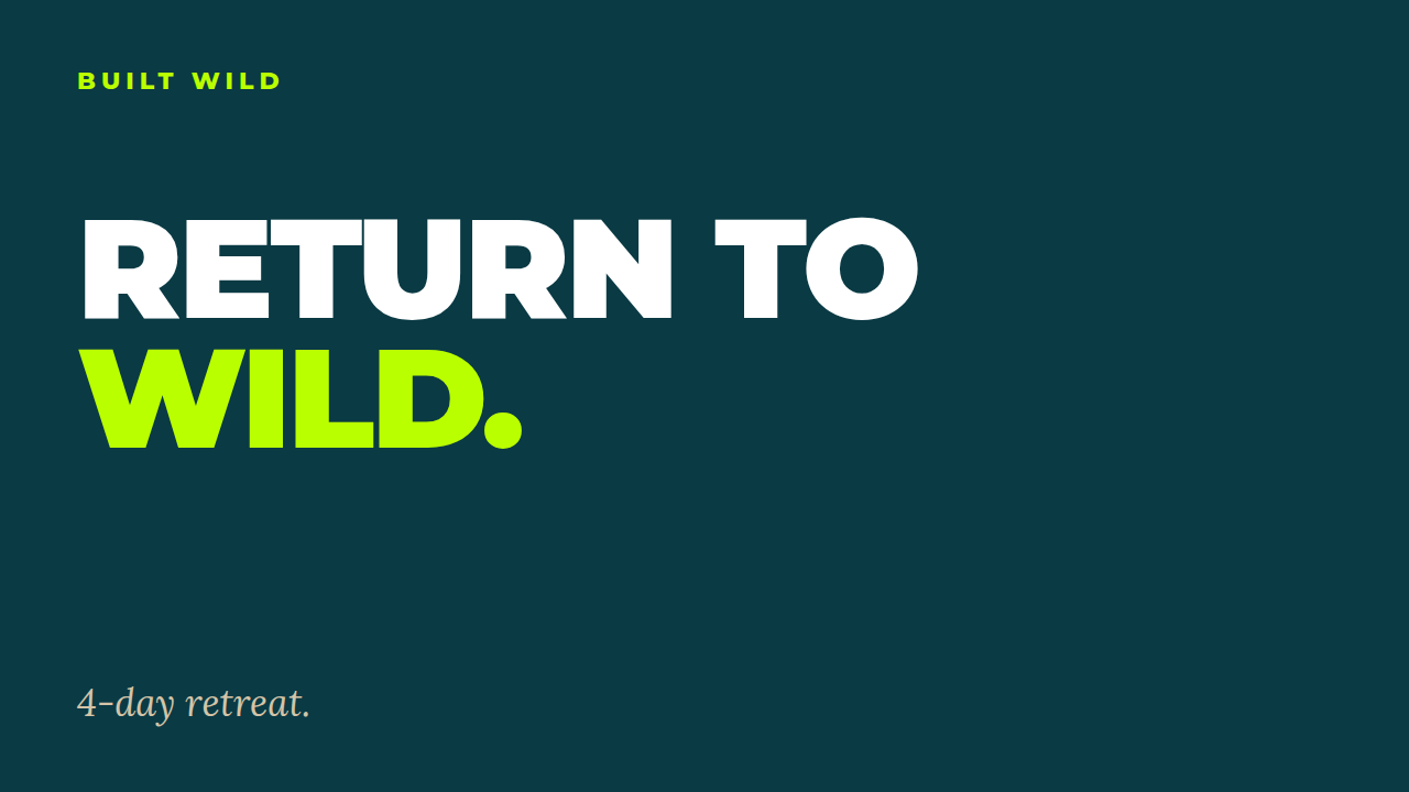 RETURN_TO_WILD_card