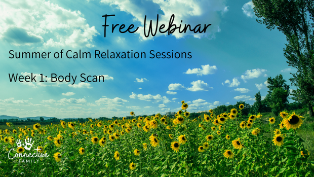 simplero free webinar (5)