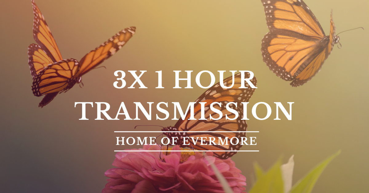 3x Transmissions