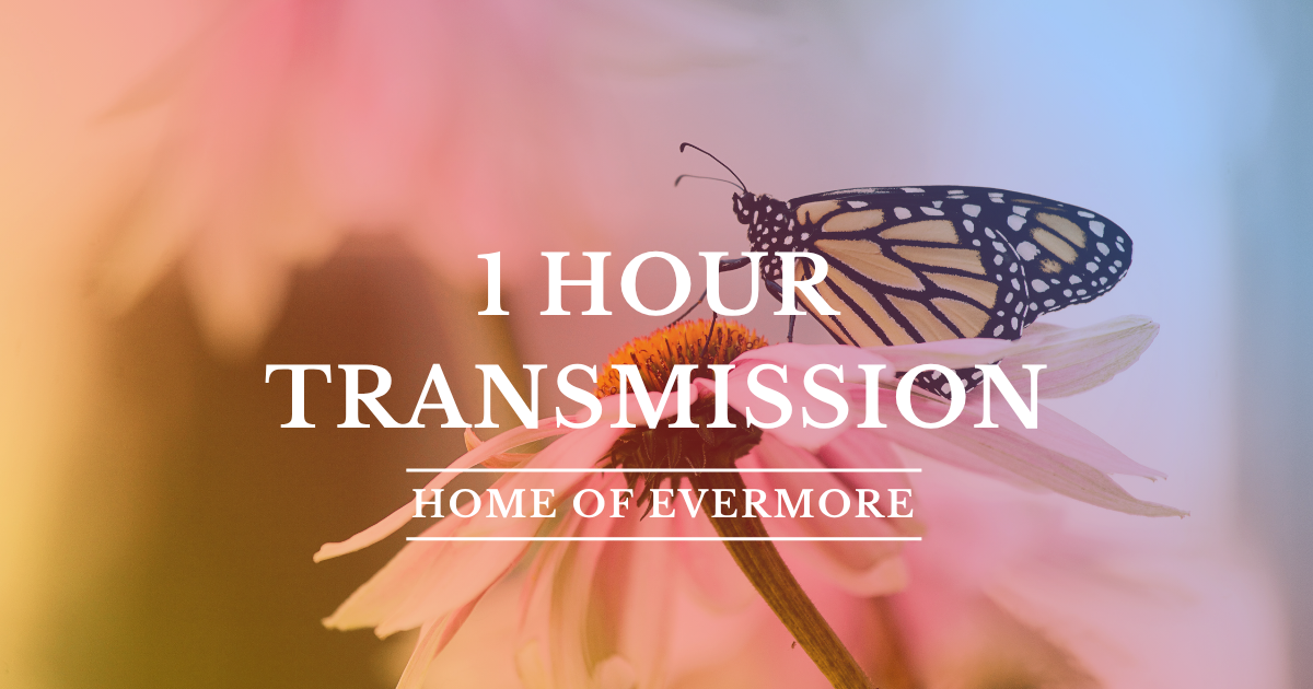 1 Hour Transmission