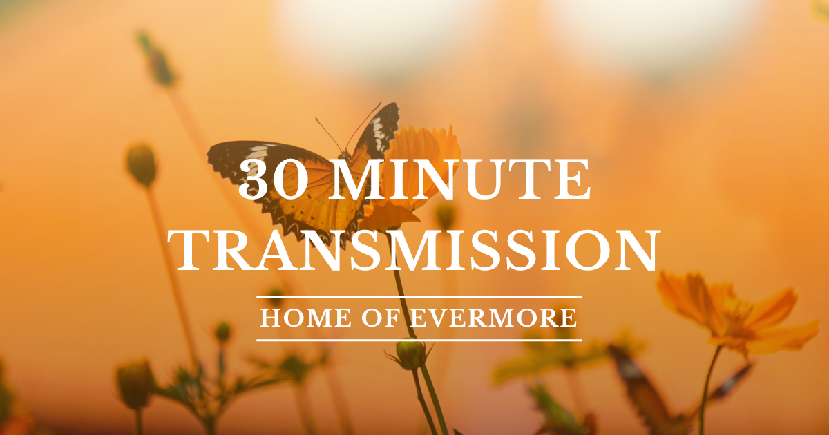30 min Transmissions