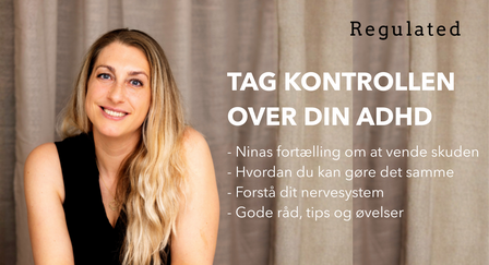 Nina fortælling