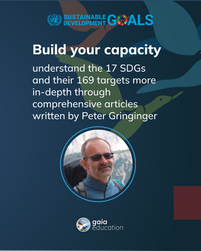 SDG Booklet - Insta Post