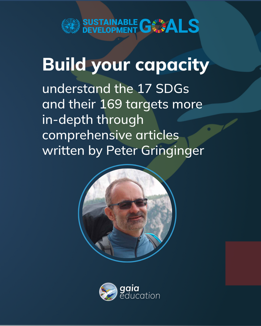 SDG Booklet - Insta Post