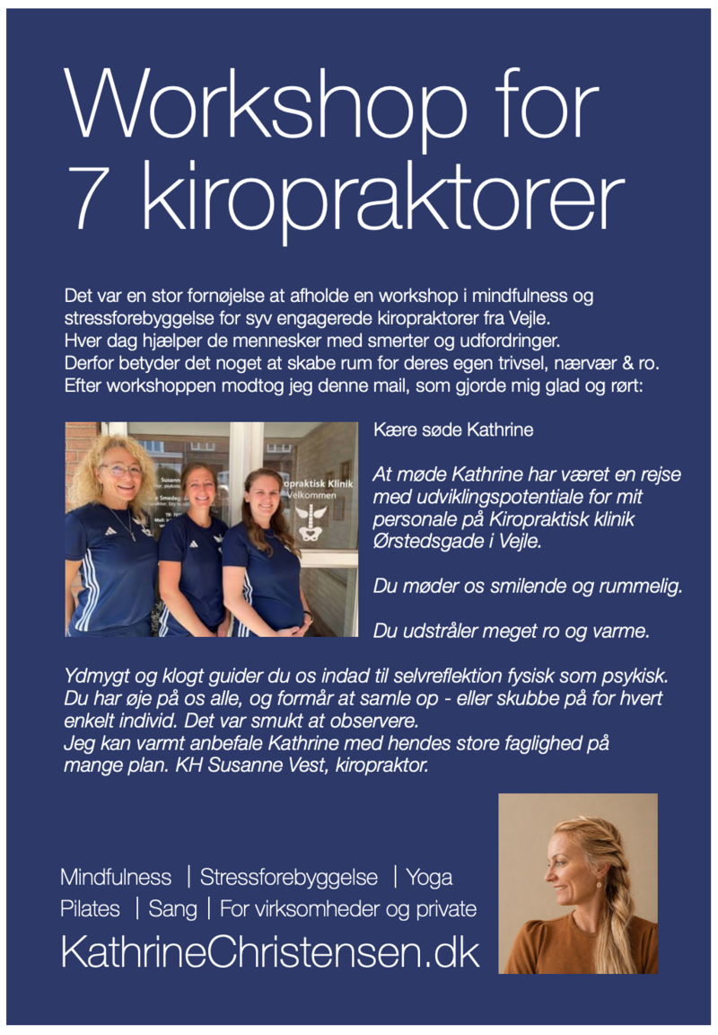 Workshop for 7 kiropraktorer- KathrineChristensen.dk - foto