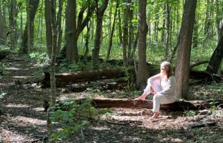 Wellness Wayfinder