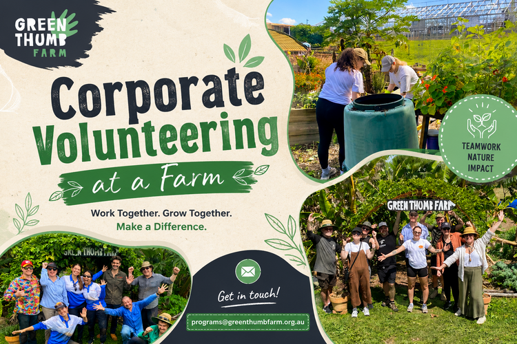 Corporate Volunteering at a Farm